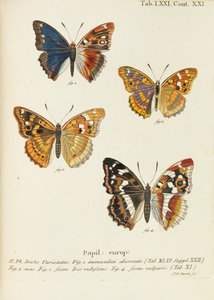 Die Schmetterlinge, 1777-1794