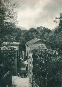 Smal straatje, Capri, Italië door Eugen Poppel