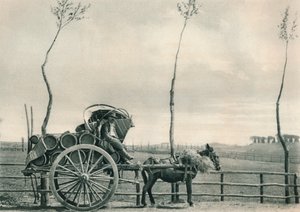 Wijn-drager in de Campagna, Rome, Italië, 1927 door Eugen Poppel