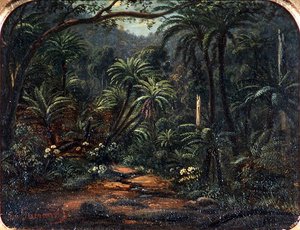 Ferntree Gully in de Dandenong Ranges
