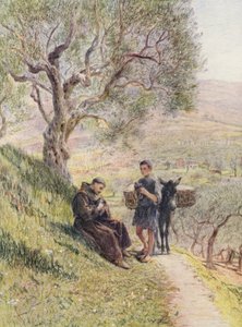 St. Franciscus Temt de Wilde Tortelduiven