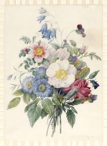 Blauwe Asters, Rosa Spinosissima Hybride, Klokjesbloem, Viooltjes, Anjer en een Wilde Roos, 1820