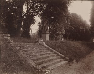 Parc de Sceaux,1925 (foto) door Eugène Atget
