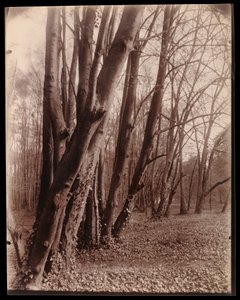  door Eugène Atget