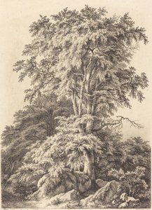 Beukenbos door Eugene Bléry