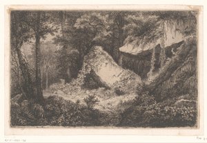 Begroeide rotsen in een bos door Eugene Bléry