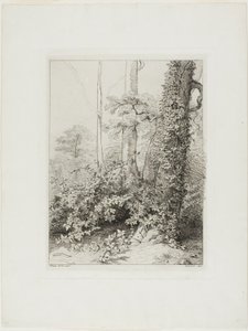 Braam en klimop door Eugene Bléry