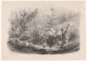 Oeverplanten bij een beek door Eugene Bléry