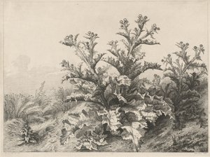 De Grote Distel
