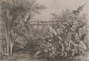 De Vijver