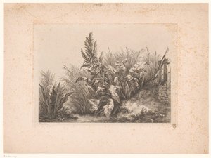 Waterzuring en riet aan de oever door Eugene Bléry