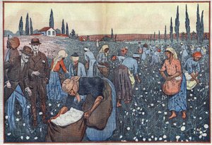 De katoenoogst, nabij Orleanville, in de Chelif-vallei, Algerije. Illustratie van Damblans. In 