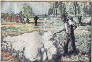 De vernietiging van de muizen (Apodemus) door verstikkend gas in de dageraad - gravure door Damblans - le-pelerin van 1923