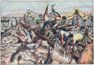 Tonijnvissen in Tunesië - Tonijn wordt gevangen in het laatste net dat bekend staat als "corpo" en wordt met tanden gevangen en in de vissersboot geslagen. Illustratie van Damblans. In "Le Pèlerin" van 30 augustus