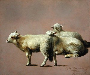 Studie van Schapen door Eugene Joseph Verboeckhoven