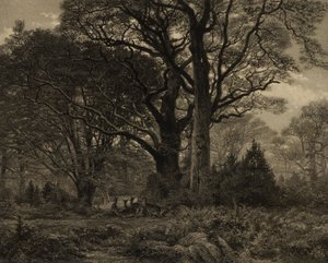 Bos van Fontainbleau