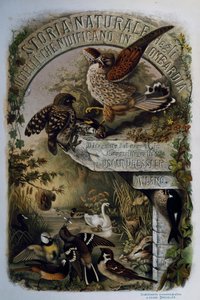 Titelpagina van Natuurlijke Historie van Vogels die nestelen in Lombardije, door Eugenio Bettoni, gravure door Oscar Dressler, Italië door Eugenio Bettoni, Oscar Dressler
