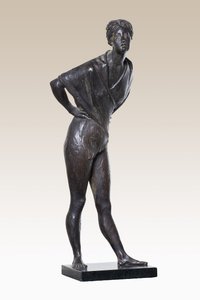 Vrouwelijke Figuur