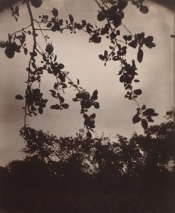 Appeltak