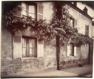 Glycine (Wisteria), Châtillon door Eugène Atget