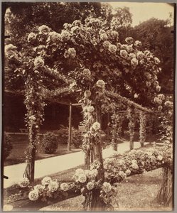 [Jardin de Bagatelle]. door Eugène Atget