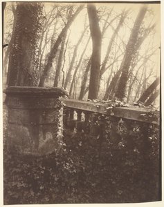 Saint-Cloud Park, Parijs door Eugène Atget
