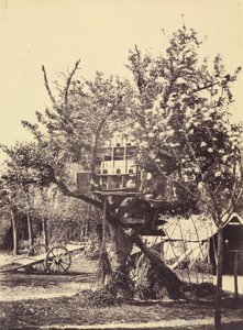Duivenhuis in Boom