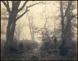 Fontainebleau. Bos bij Barbizon, ca. 1860