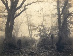 [Fontainebleau Bos] door Eugène Cuvelier