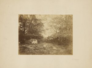 [Landschapsstudie] door Eugène Cuvelier