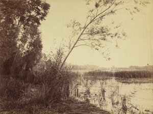 Marais de Fampoux, begin jaren 1860 (foto) door Eugène Cuvelier