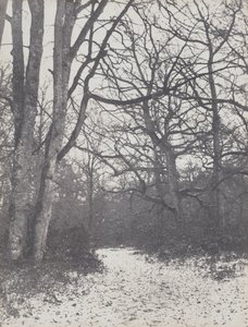 Weg in het Bos door Eugène Cuvelier