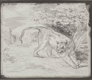 Een Gevangen Tijger door Eugène Delacroix