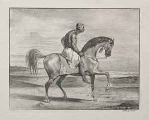 Afrikaan te Paard