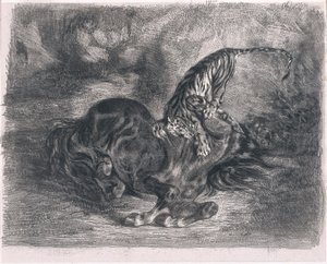 Wilde paard neergehaald door een tijger