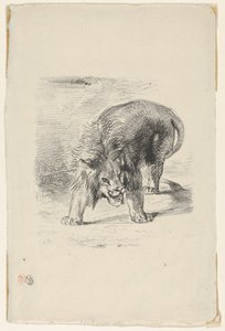 Staande leeuw, 1833 door Eugène Delacroix