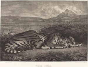 Koninklijke Tijger door Eugène Delacroix