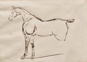 Studie van een Paard