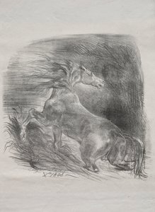 Het Wilde Paard, of Geschrokken Paard dat het Water Verlaat door Eugène Delacroix