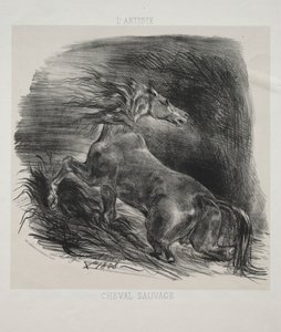 Het Wilde Paard, of Geschrokken Paard dat het Water Verlaat door Eugène Delacroix