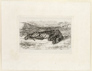 Rustende Tijger in de Woestijn