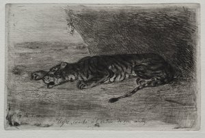 Slapende Tijger bij de Ingang van Zijn Hol