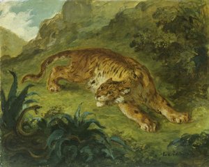 Tijger en slang