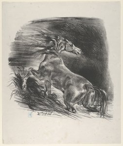 Wilde Paard, 1828 door Eugène Delacroix