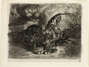 Wilde Paard Neergehaald door een Tijger
