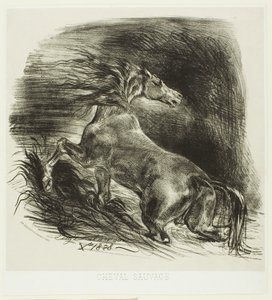 Wilde Paard of Geschrokken Paard Verlaat het Water door Eugène Delacroix