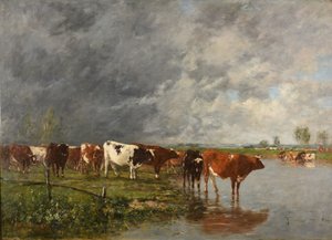 Kudde drinken