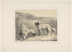 Drie honden door Eugène Verboeckhoven