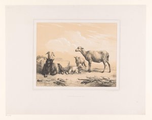 Geit, schaap en twee lammeren Diverse dieren Études d