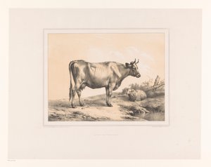 Koe en schaap in een landschap door Eugène Verboeckhoven